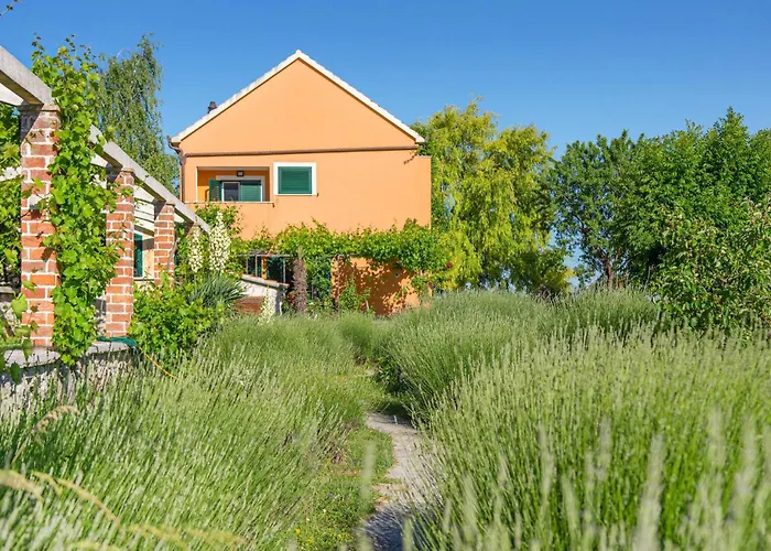 Pet Friendly Home In Sinj With Sauna